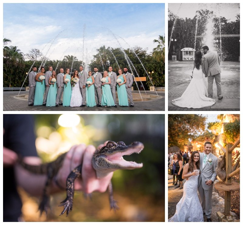West Palm Beach, FL Palm Beach Zoo Wedding Organic Moments Photography