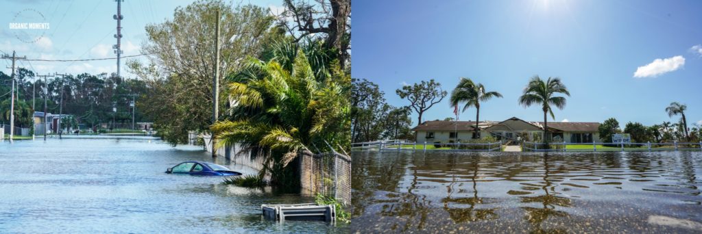 Naples, FL Hurricane Irma Damage Organic Moments Photography