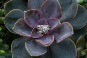 Organic Moments Photography Succulent Wedding Trend