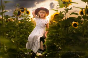 best photographer southern florida organic moments photography